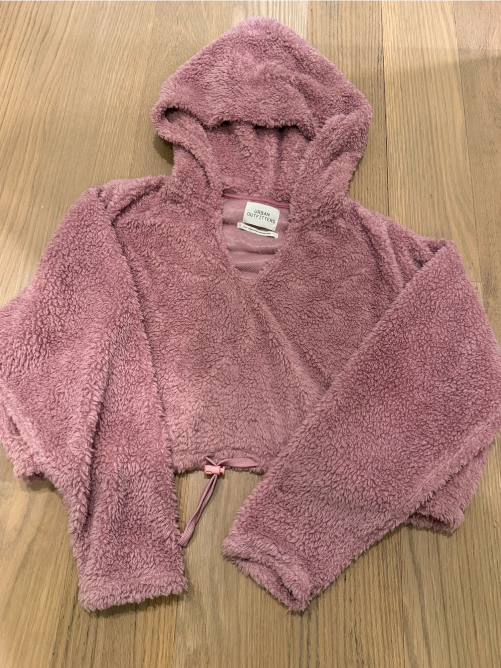 Urban Outfitters Dusty Rose Plush Hoodie